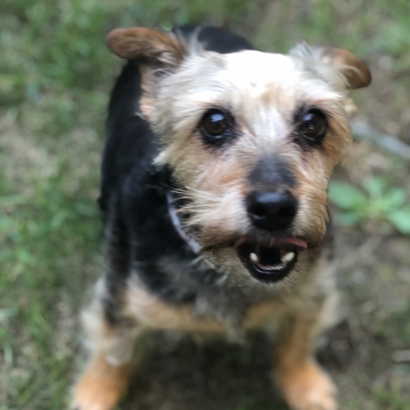 Meet your Posher, Christine - Picture 4 of 7